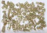 Wholesale Flot: g Apatite Crystals From Morocco - + Pieces #82341-2
